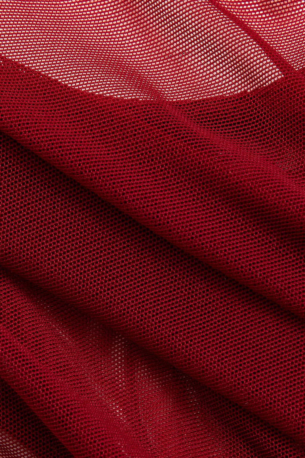 Transparan Mesh Bodysuit